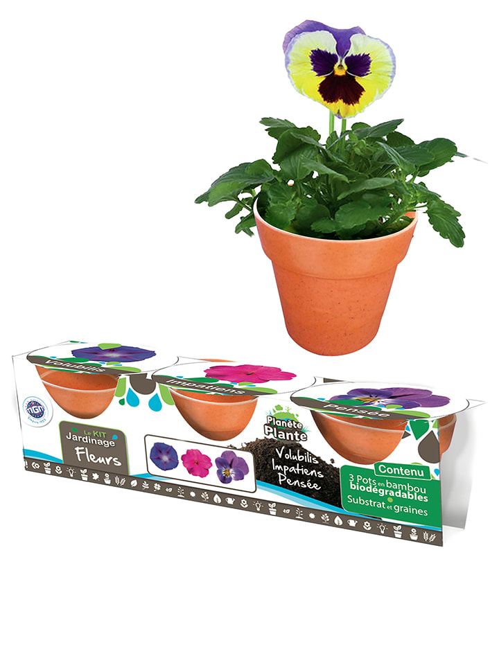 MGM Blumen-Pflanzset - ab 5 Jahren günstig kaufen onesize