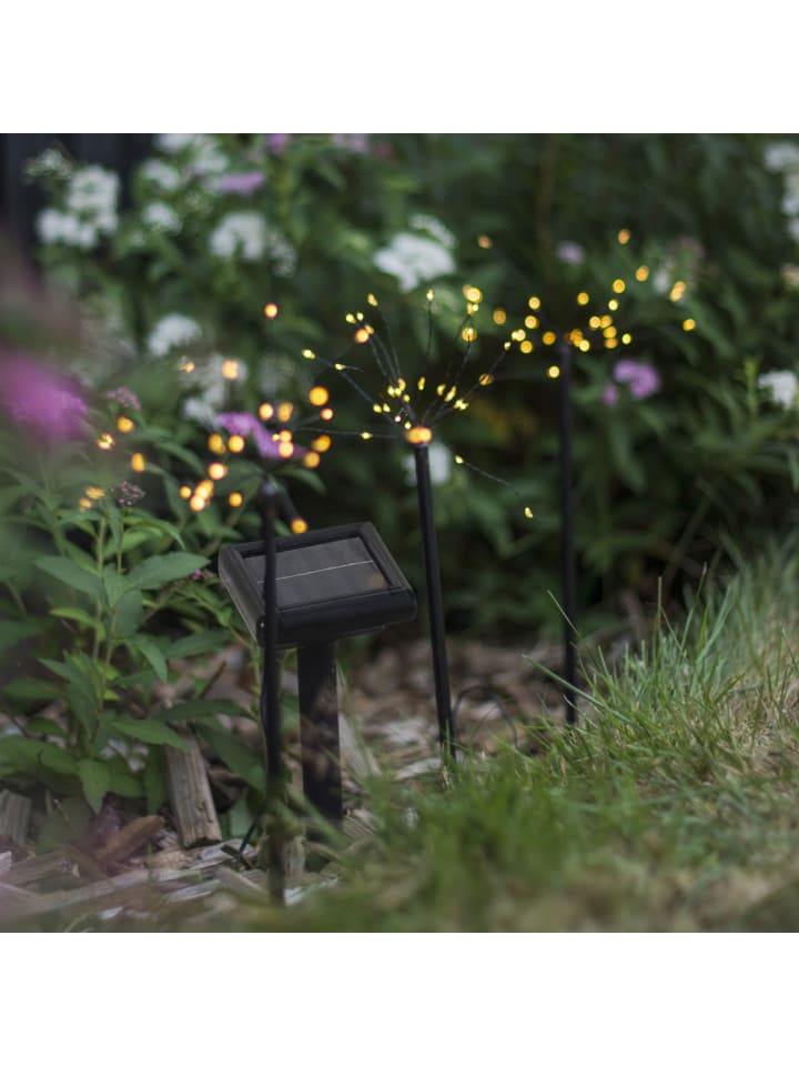 STAR Trading LED Solar Gartenleuchte FEUERWERK 3 Spieße H: 40cm Sensor günstig kaufen onesize