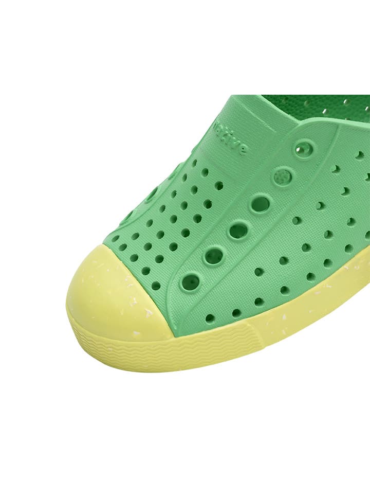 Native Slipper in Grün günstig kaufen