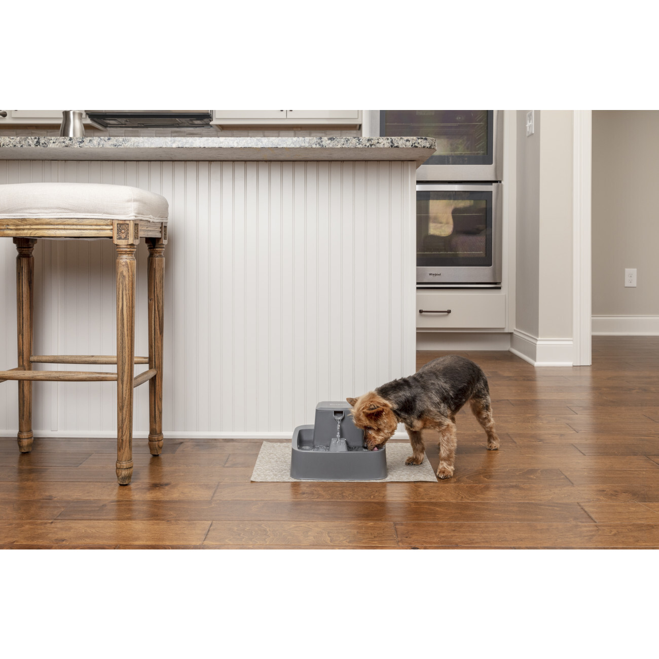 PetSafe Trinkbrunnen PetSafe Trinkbrunnen 1,8 l