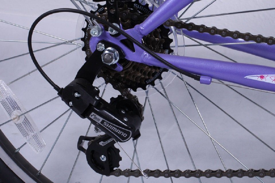 Talson Cityrad 26 Zoll Cityrad 064, 21 Gang Shimano, Kettenschaltung, mit Beleuchtung nach StVZO und Gepäckträger Lila
