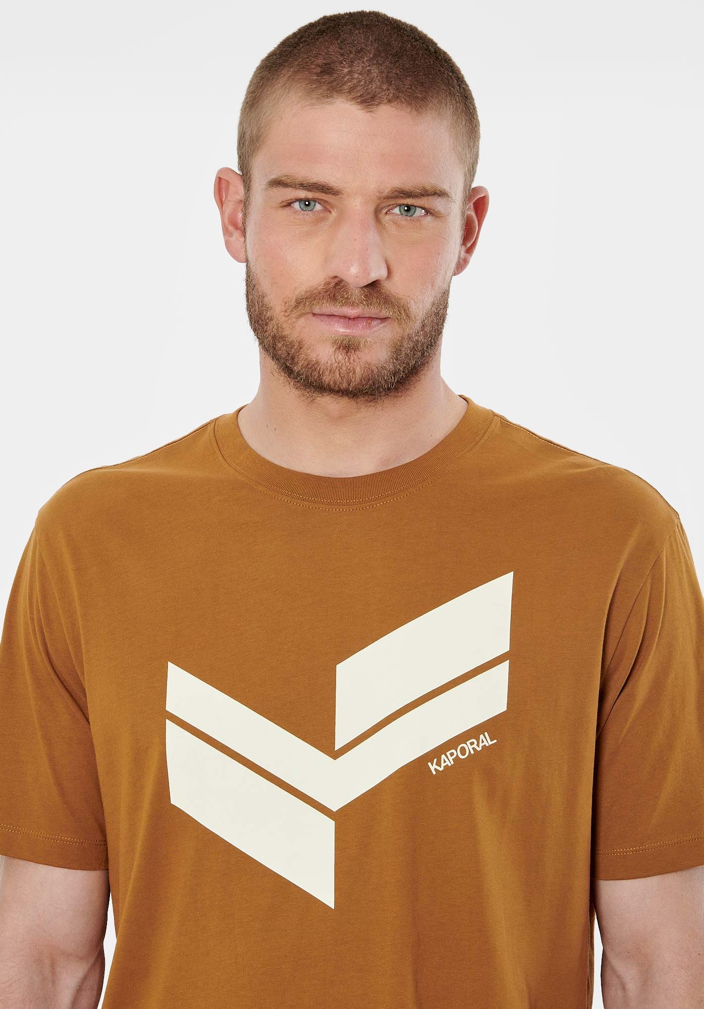 BRYZO  T-shirt marron homme 100% coton