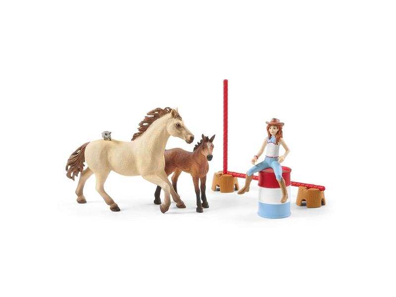 Horse stall with Arab horses and groom