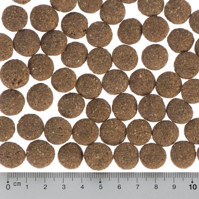 Sparpaket Purizon Single Meat 2 x 12 kg