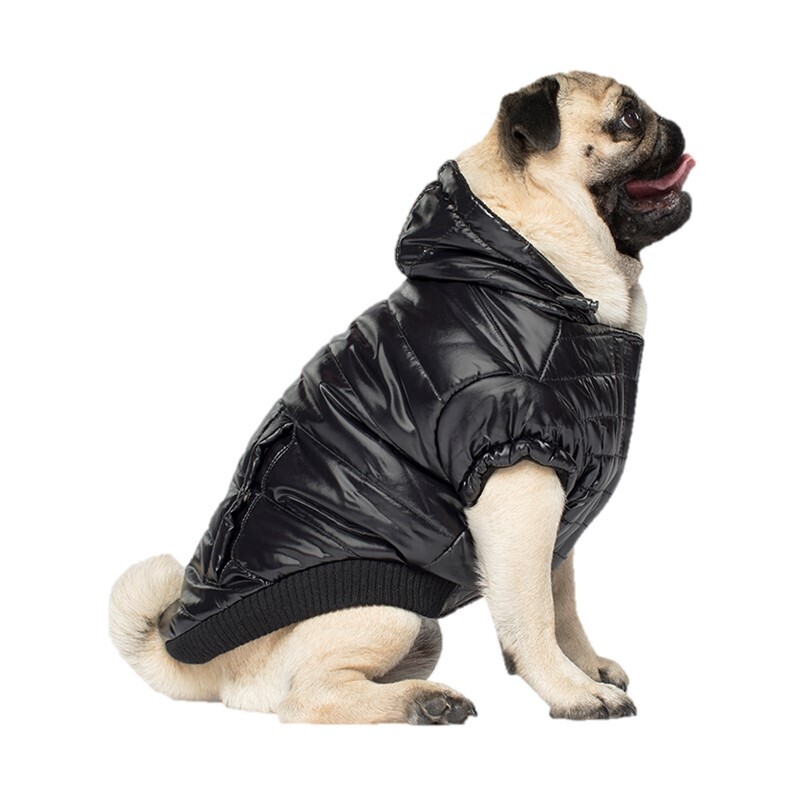 Canada Pooch Hundewesten Canada Pooch Glänzende Pufferweste XXS