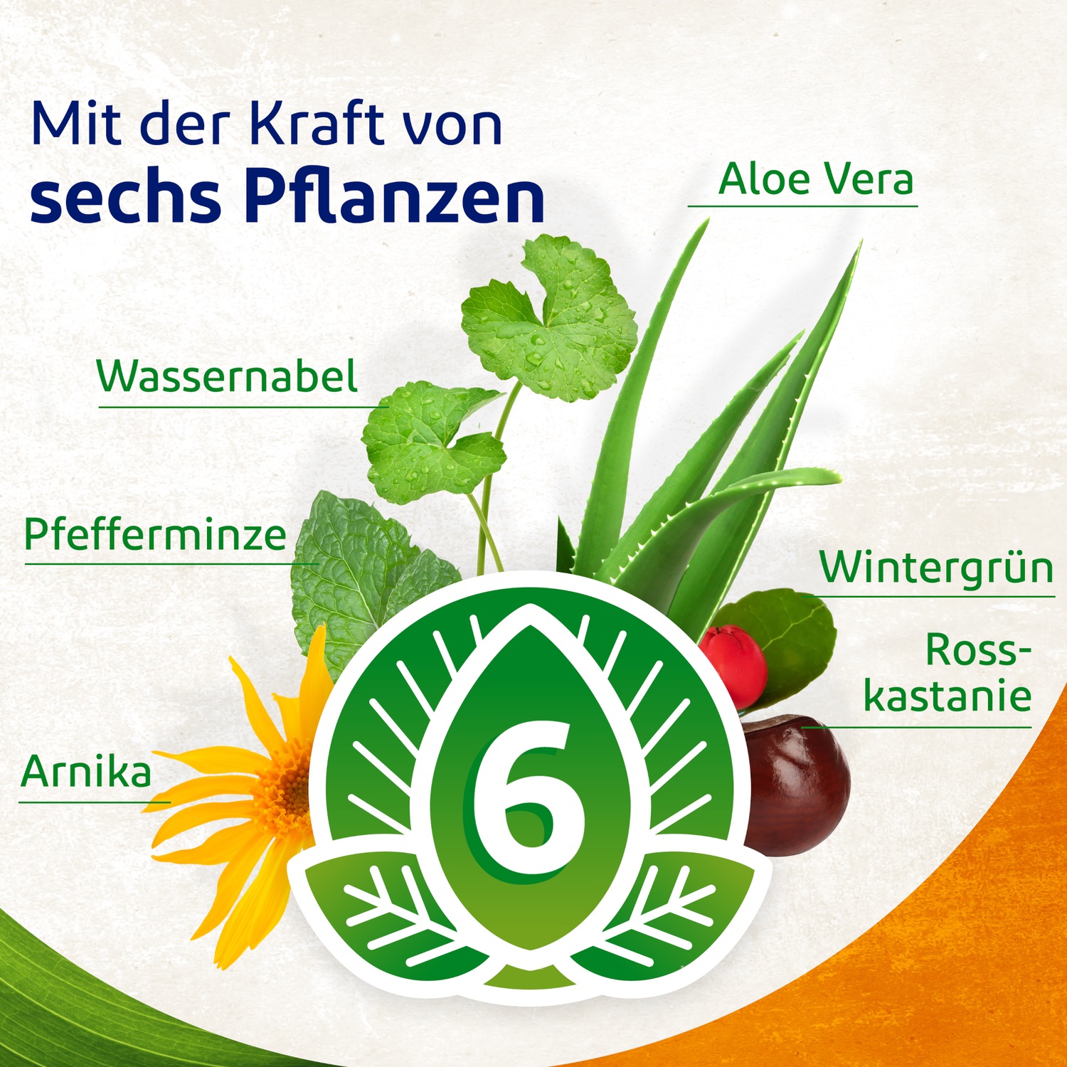 pflanzliches Gel bei Muskelverspannung. 100ml