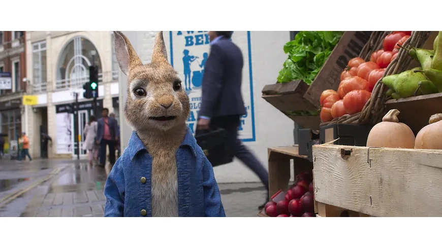 Peter Hase 2 - Ein Hase macht sich vom Acker