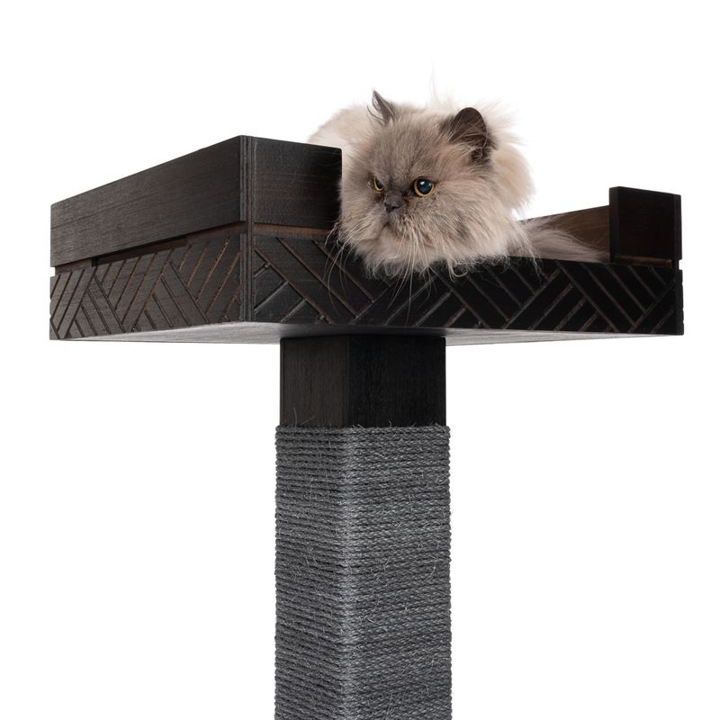 Modern Living Kratzbaum Fergana zu TOP-Preisen