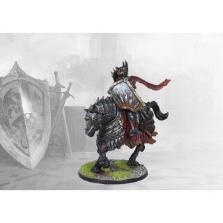Conquest Hundred Kingdoms: The Order of the Crimson Tower