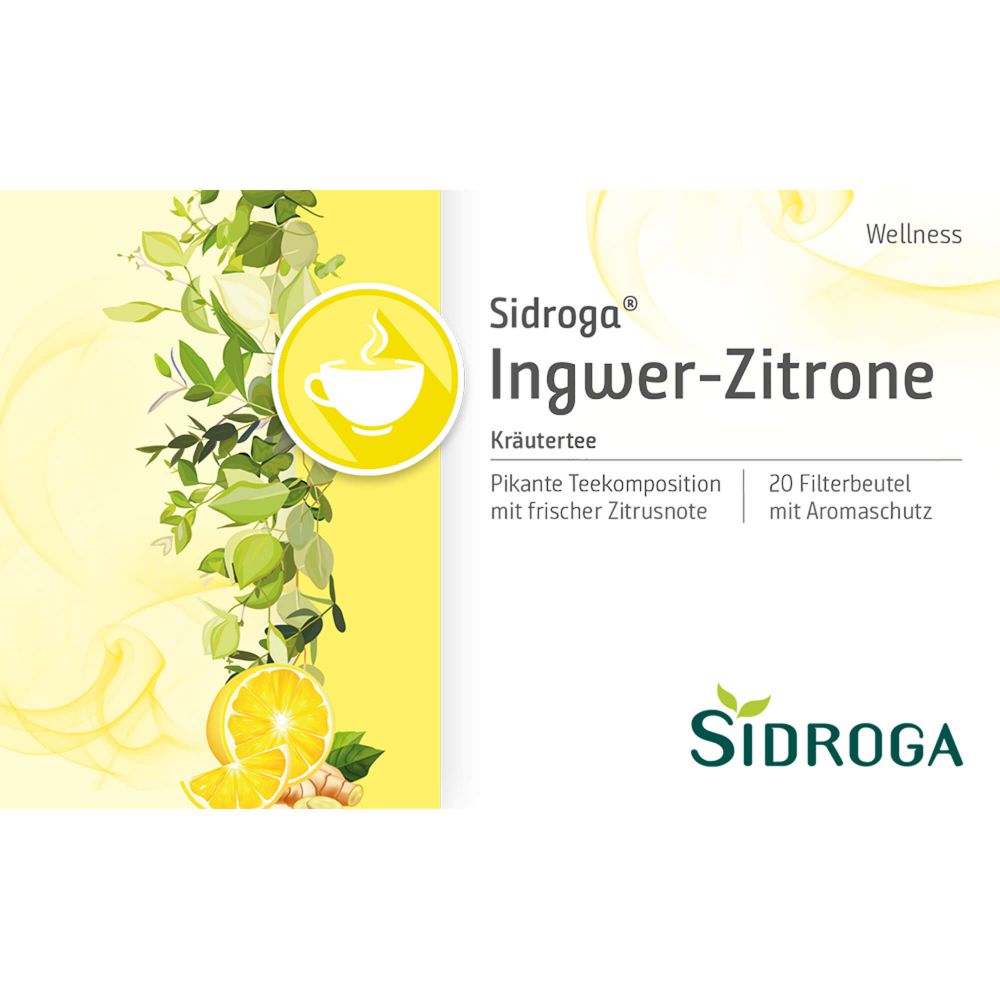 Wellness Ingwer-Zitrone Tee Filterbeutel