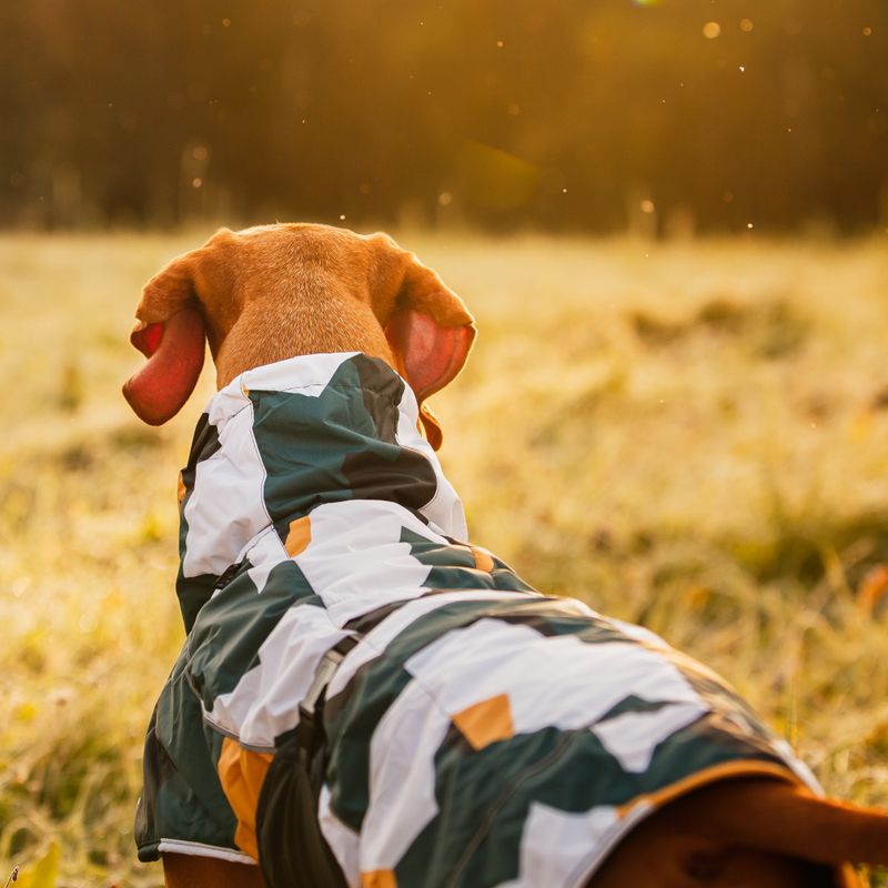 Rukka Stormy Hundemantel, camouflage zu TOP-Preisen | bitiba %