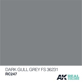 AK Real Colors Dark Gull Grey FS 36231 (10ml)