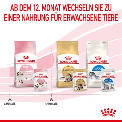 Royal Canin Kitten Mousse