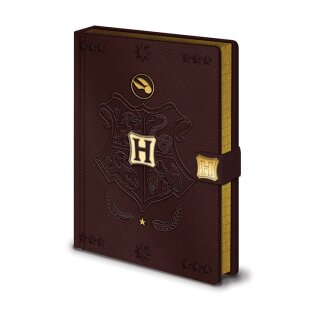 Harry Potter Premium Notizbuch A5 Quidditch