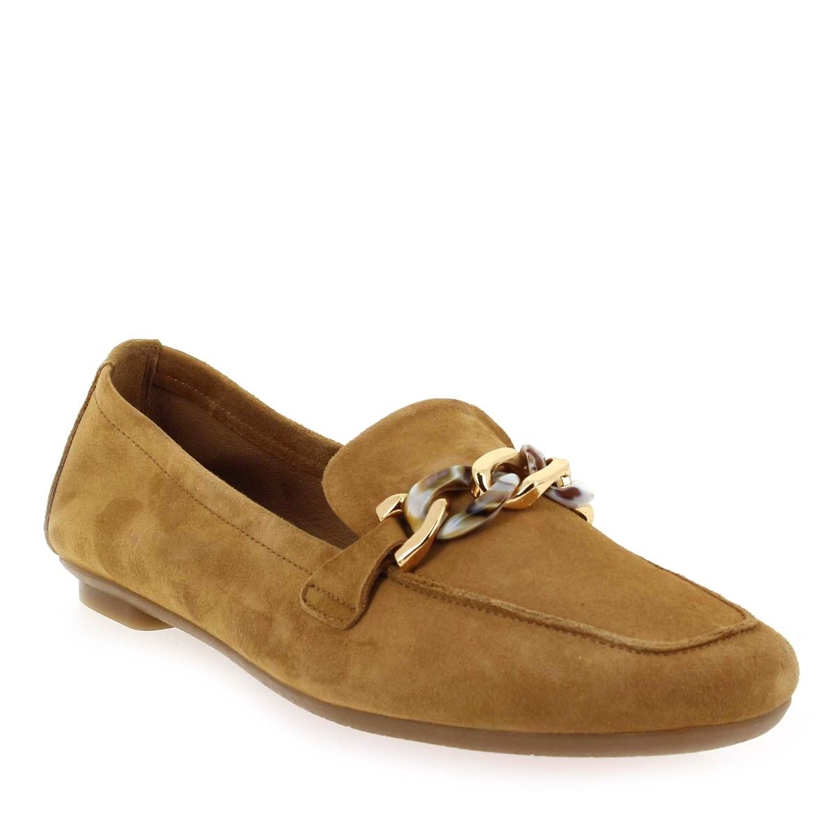 Reqins  HOREL - Camel