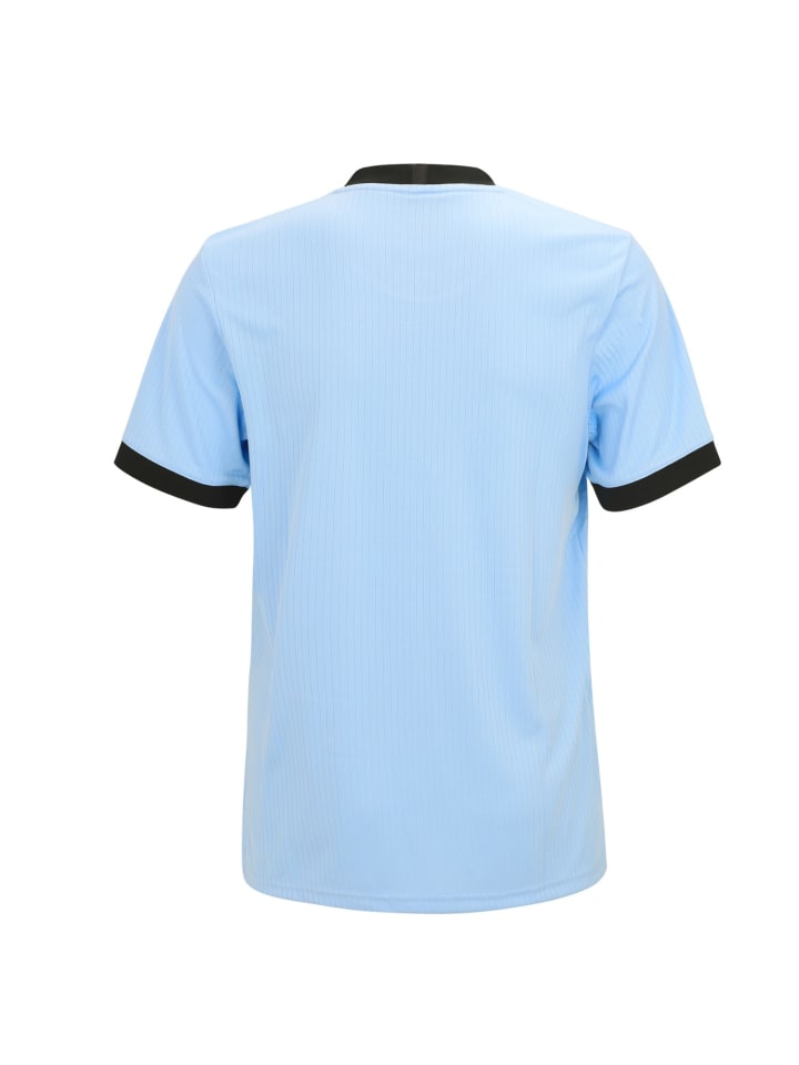 adidas Originals 125 Jahre Jubiläum DFB Anniversary Trikot Herren in Blau günstig kaufen