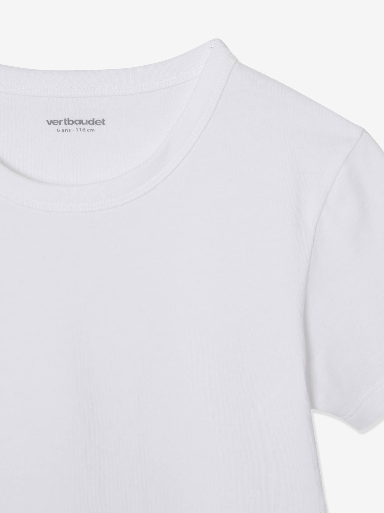 Lot de 3 T-shirts garçon manches courtes BASICS lot camaieu bleu