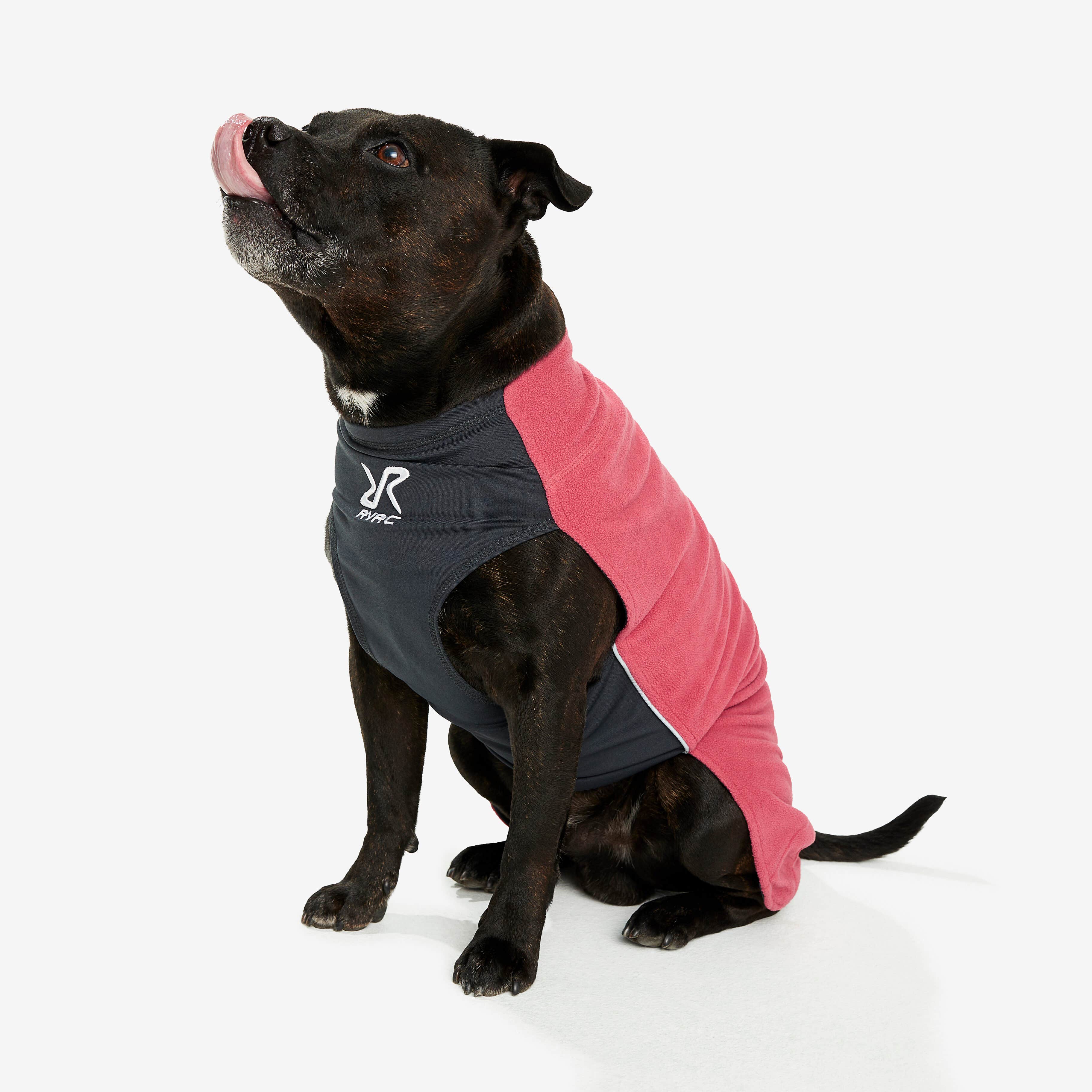 Trekker Fleece Chien Holly Berry