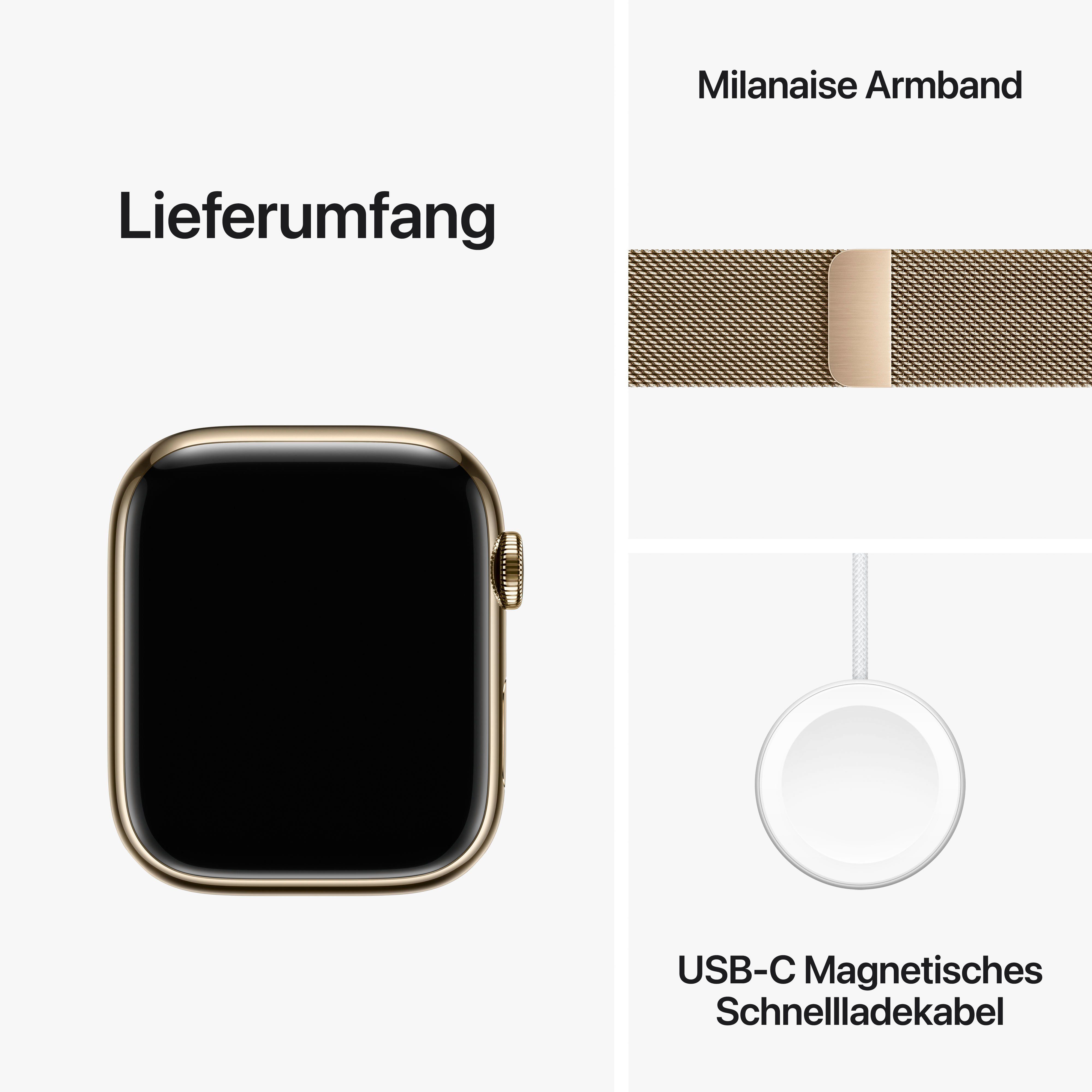 Apple Watch Series 9 GPS + Cellular Stainless Steel 45mm Smartwatch (4,5 cm/1,77 Zoll, Watch OS 10), Milanese Loop