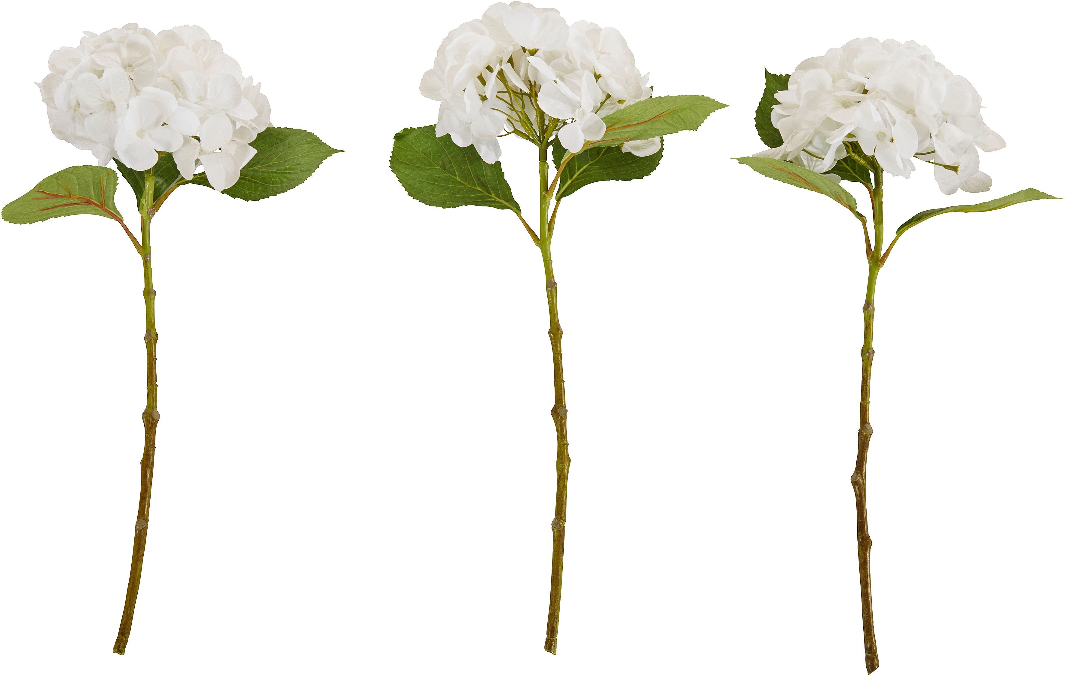 Kunstblume Navassa Hortensie, Timbers, Höhe 48 cm, 3er-Set