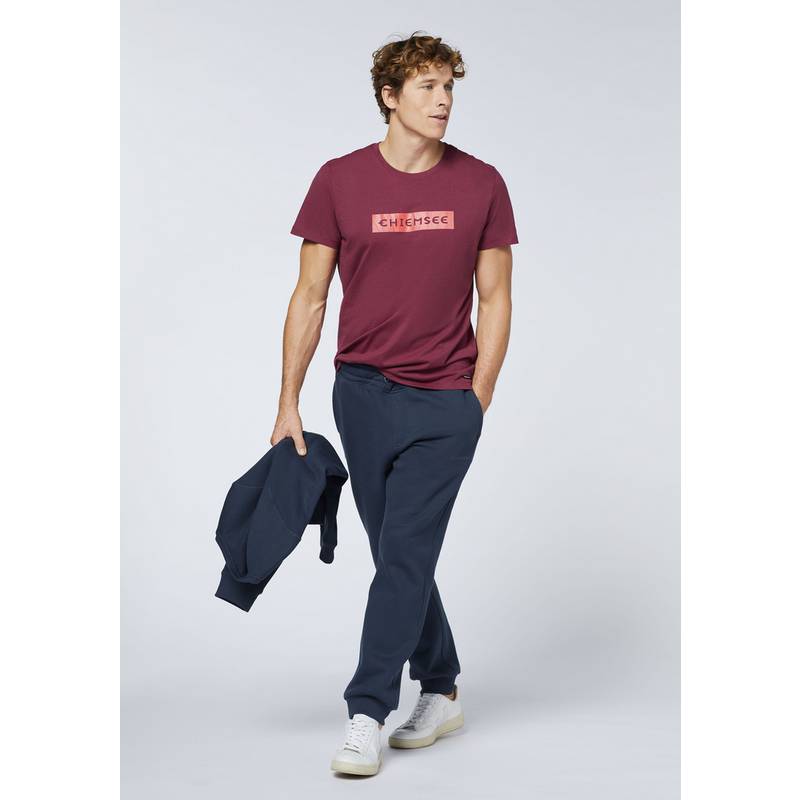 Chiemsee T-Shirt T-Shirt Herren