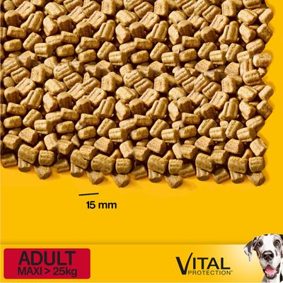 Pedigree Adult Maxi mit Rind & Reis