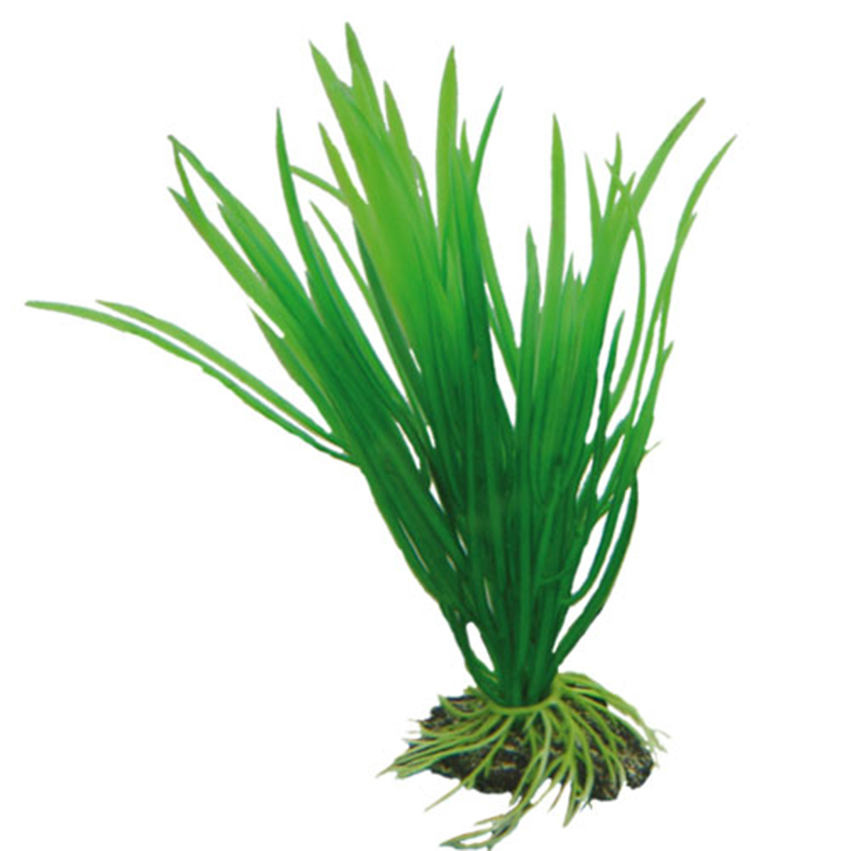Hobby Aquariumdekoration Cyperus 16 cm kaufen
