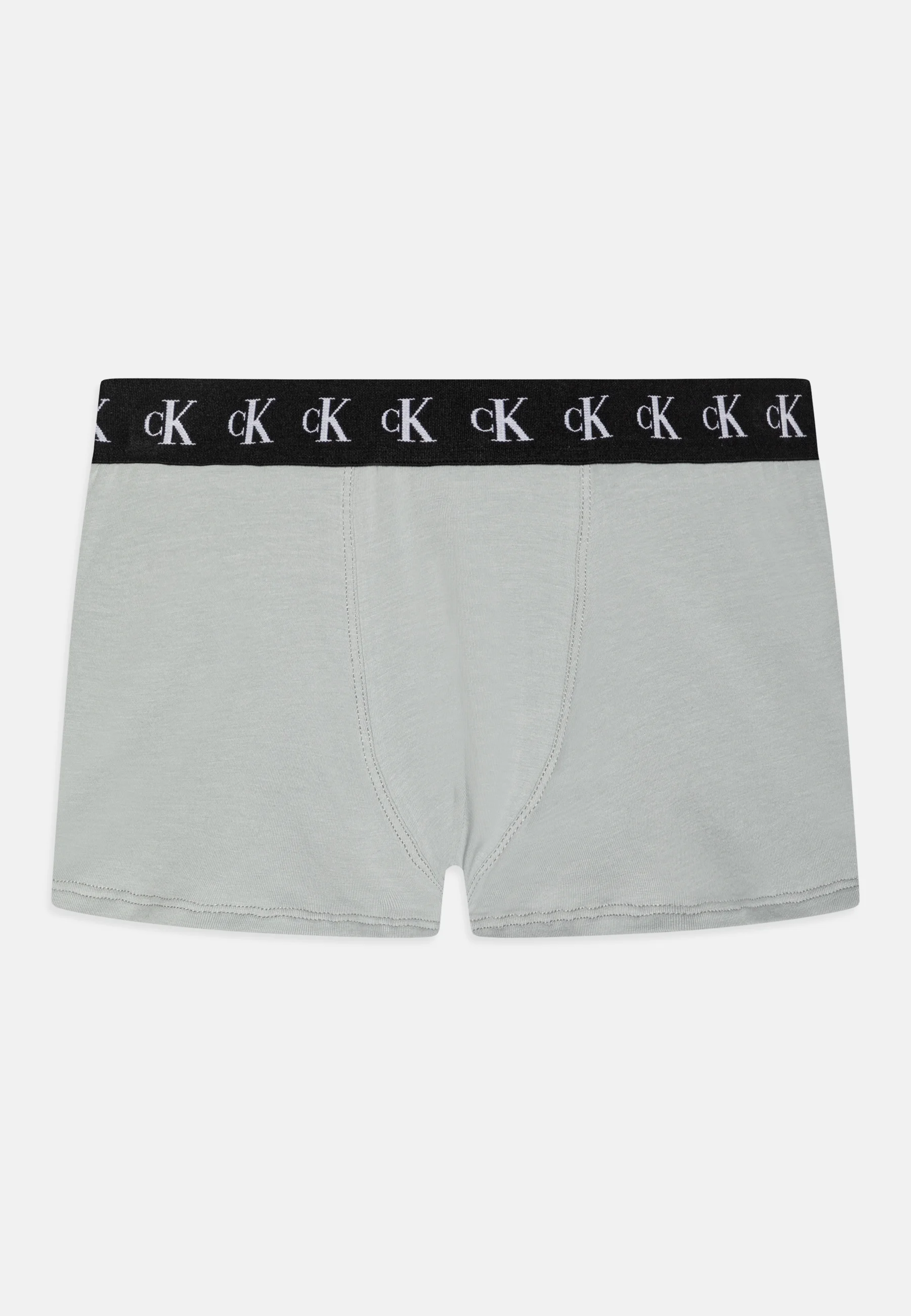 Calvin Klein Underwear TRUNK PACK DE 3 - Culotte