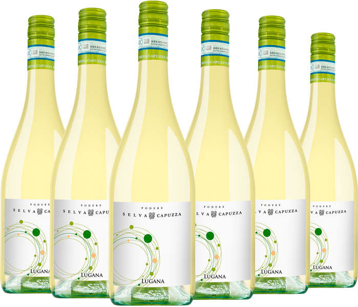 6er Weinpaket Selva Capuzza Lugana DOC 2022