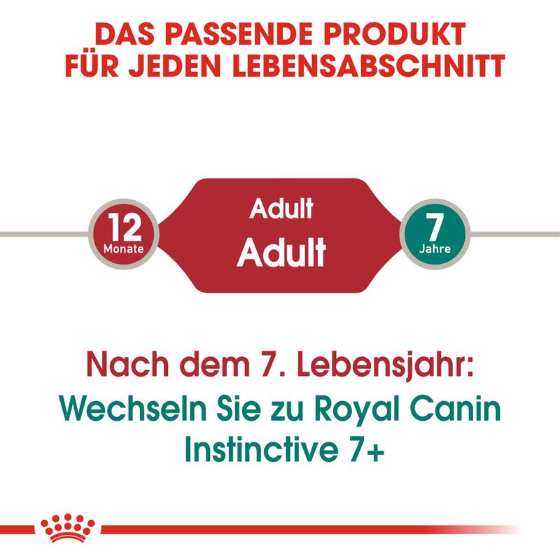 Royal Canin Instinctive Mousse zu TOP-Preisen % | bitiba
