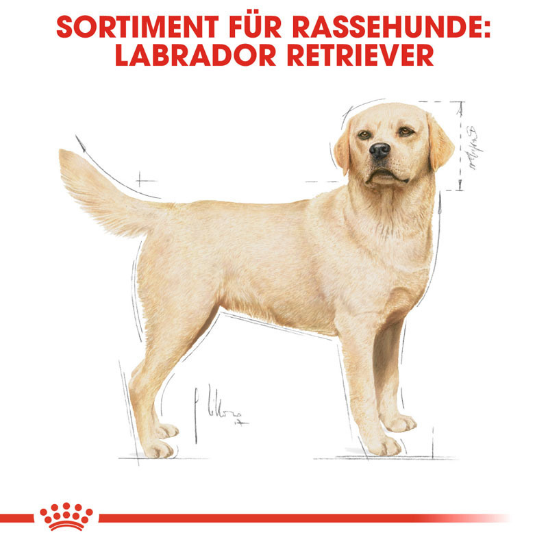 ROYAL CANIN Hundetrockenfutter ROYAL CANIN Labrador Retriever Adult 2x12 kg