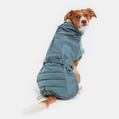Nomad Tales Spirit Softshell-Hundemantel Pacific