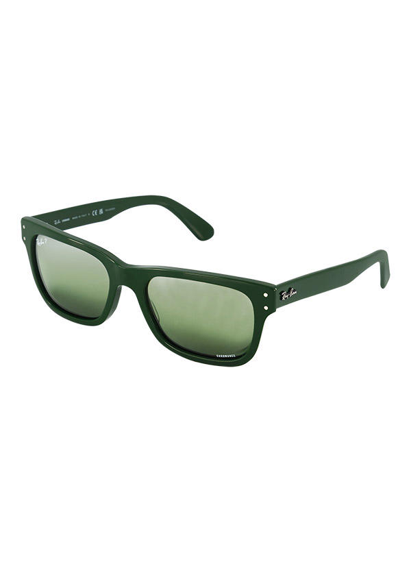 Ray Ban, Sonnenbrille Burbank, Kunststoff, dunkelgrün