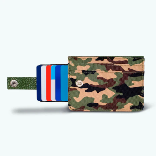 Green Ellora Caves Card Holder