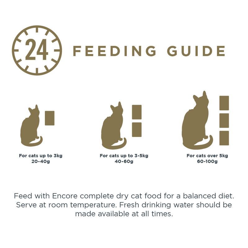 Encore Cat Pouch in Brühe 5 x 50 g zu TOP-Preisen