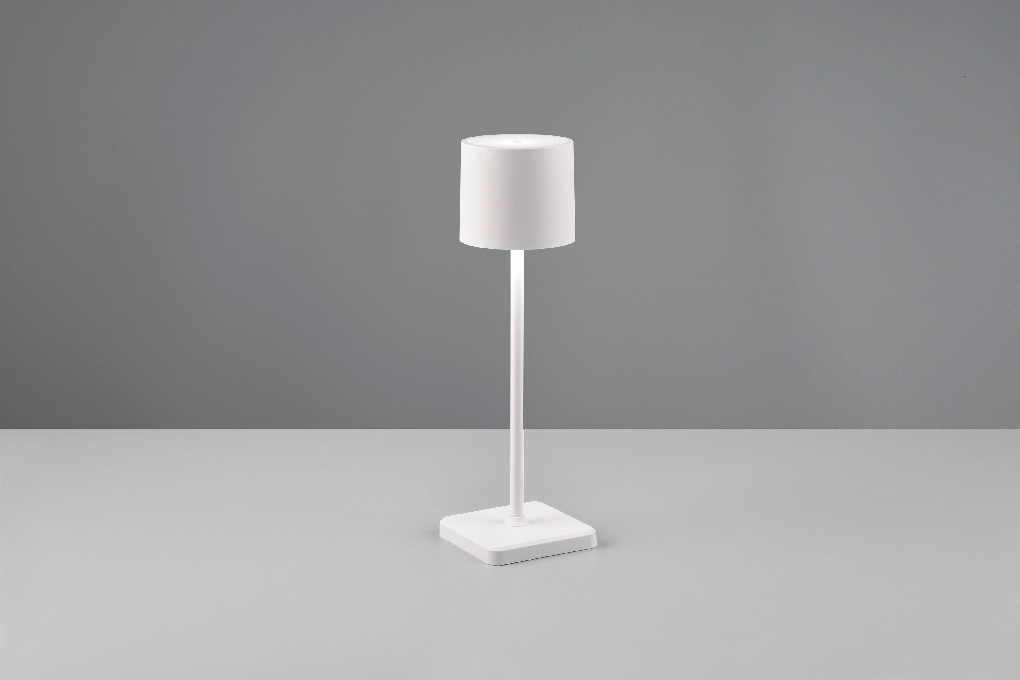 TRIO Leuchten LED Außen-Tischleuchte Fernandez, Dimmfunktion, USB-Ladefunktion, LED fest integriert, Farbwechsler, warmweiß - kaltweiß, Garten Akku Tischlampe USB Ladestation dimmbar Lichtfarbe einstellbar
