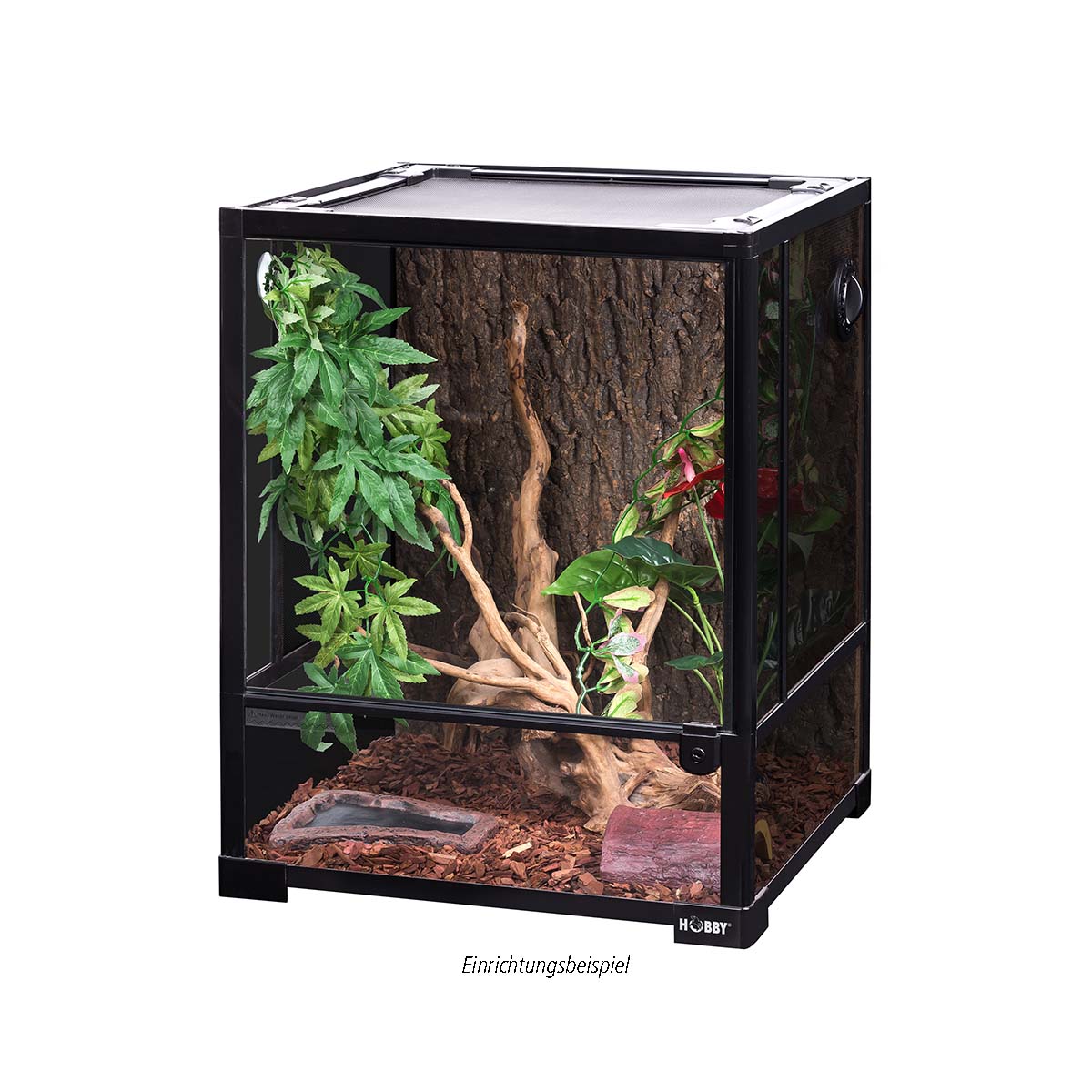 Hobby Faltterrarium Terra Fix & Easy günstig kaufen