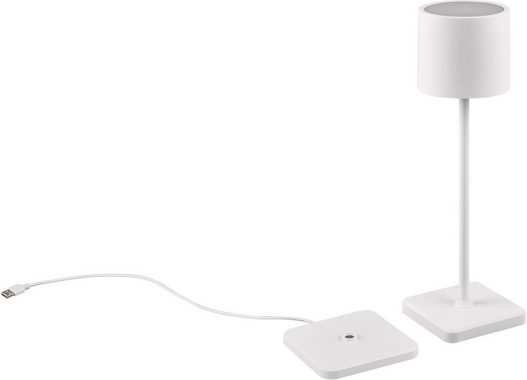 TRIO Leuchten LED Außen-Tischleuchte Fernandez, Dimmfunktion, USB-Ladefunktion, LED fest integriert, Farbwechsler, warmweiß - kaltweiß, Garten Akku Tischlampe USB Ladestation dimmbar Lichtfarbe einstellbar