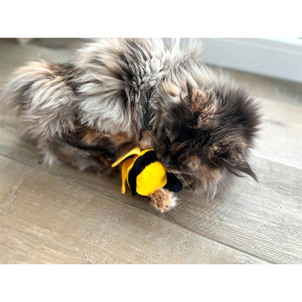 Aumüller Katzenspielkissen Hummel Maggie kaufen