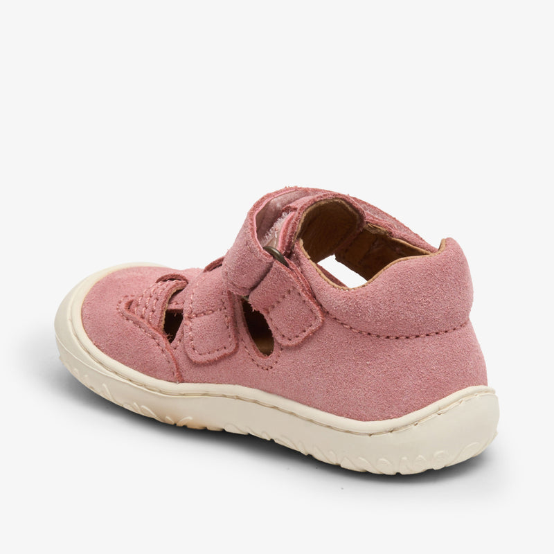 hana blush - Rose