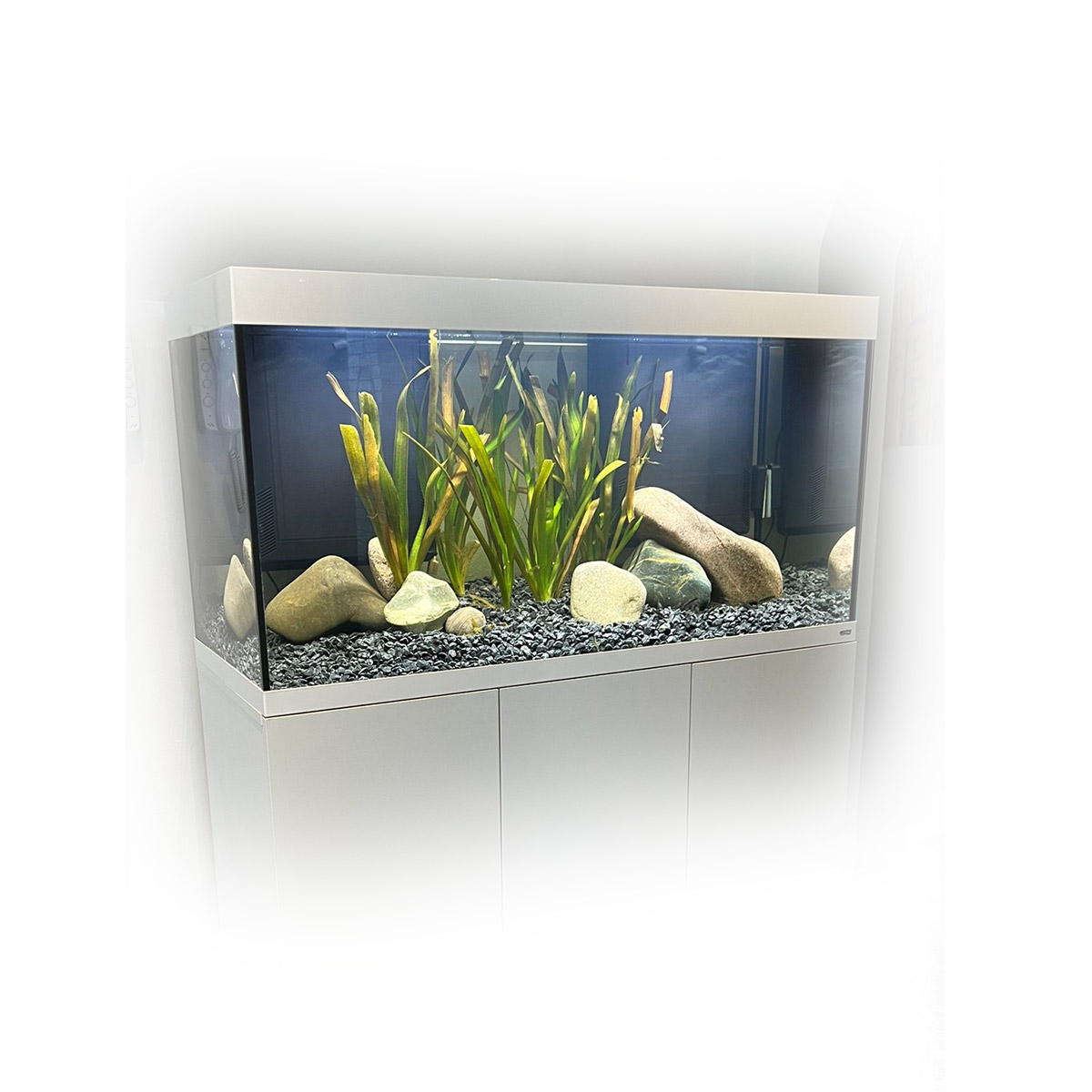 AMTRA Aquarium ALUX LED WHITE günstig kaufen
