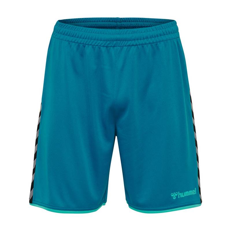hummel hmlAUTHENTIC POLY SHORTS Shorts Herren