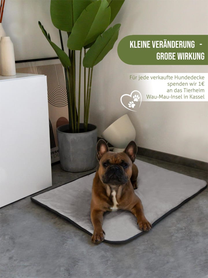 Aspero Hundedecke Lund in Grau günstig kaufen