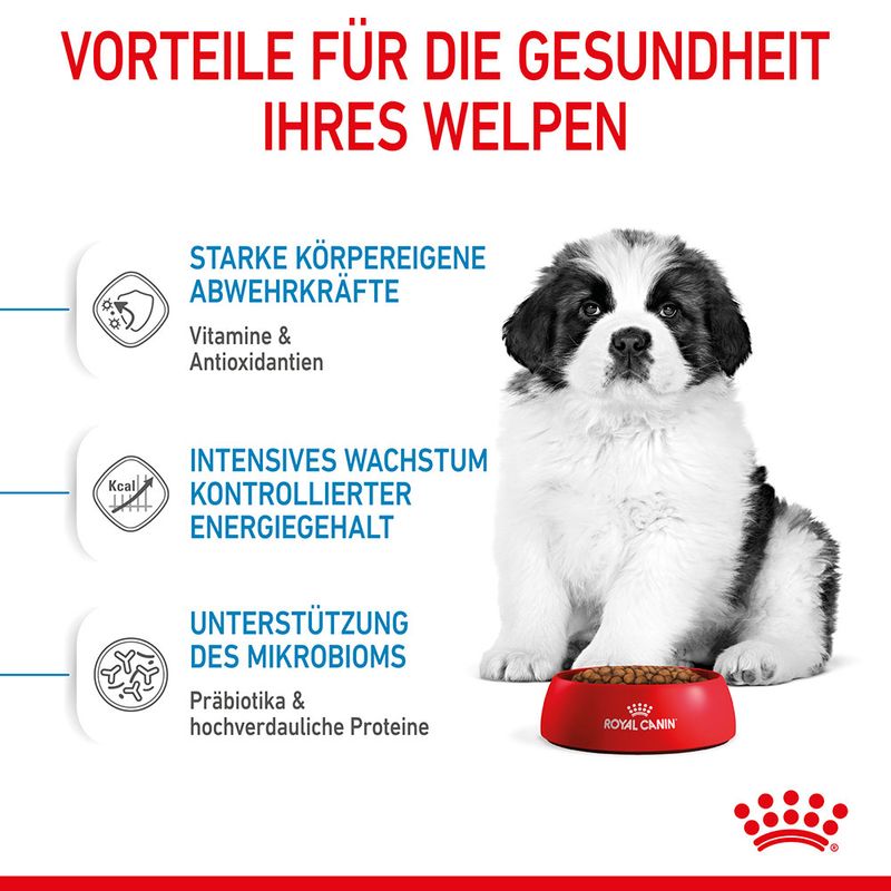 Royal Canin Giant Puppy zu TOP-Preisen