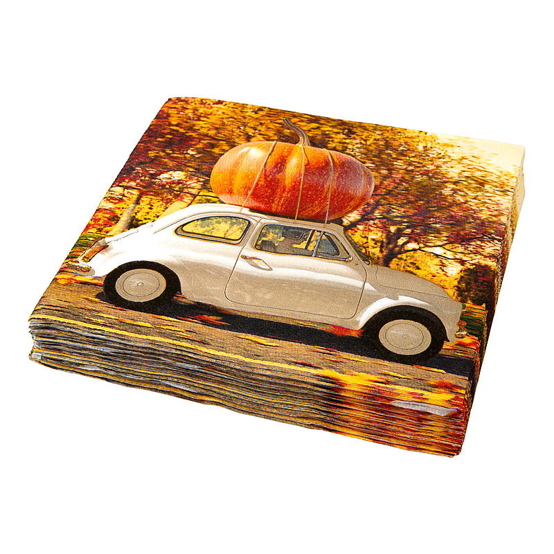 Vie Eco Servietter 20-pk 33x33 cm, Vinter