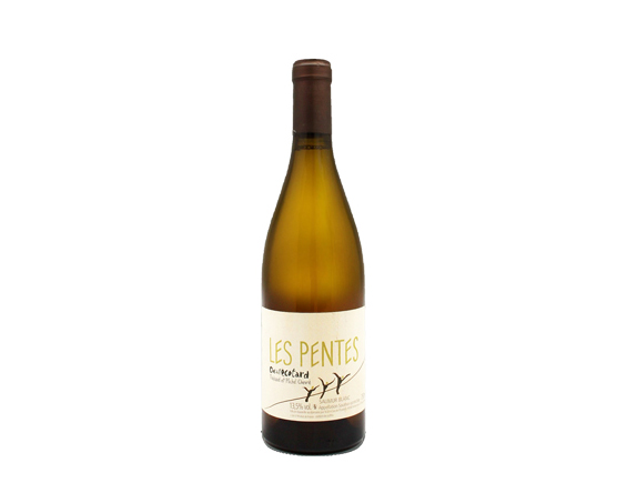 Clos de L’ecotard Michel et Thibaud Chevré les Pentes 2020 Loire Saumur