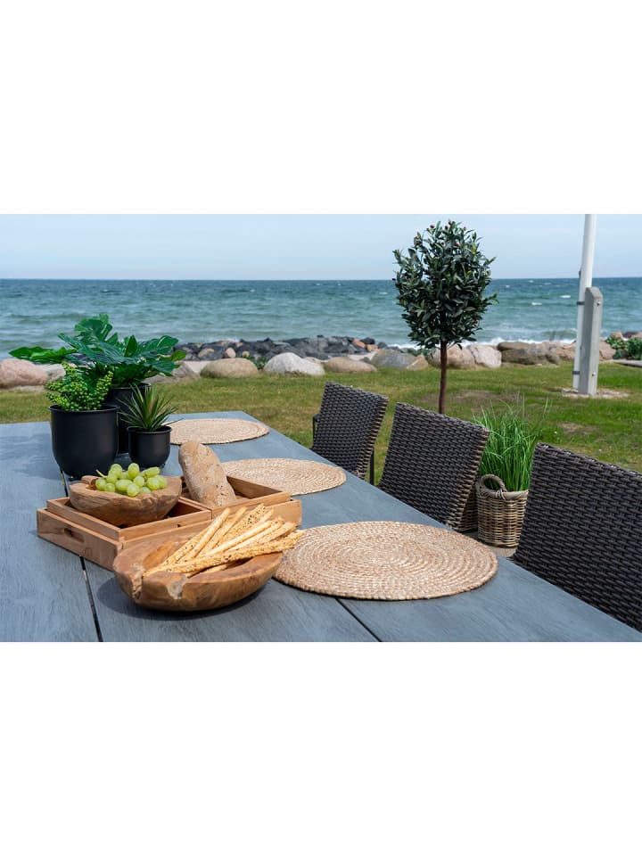 ebuy24 Platzsets Bombay Natur 38 x 38 cm günstig kaufen onesize