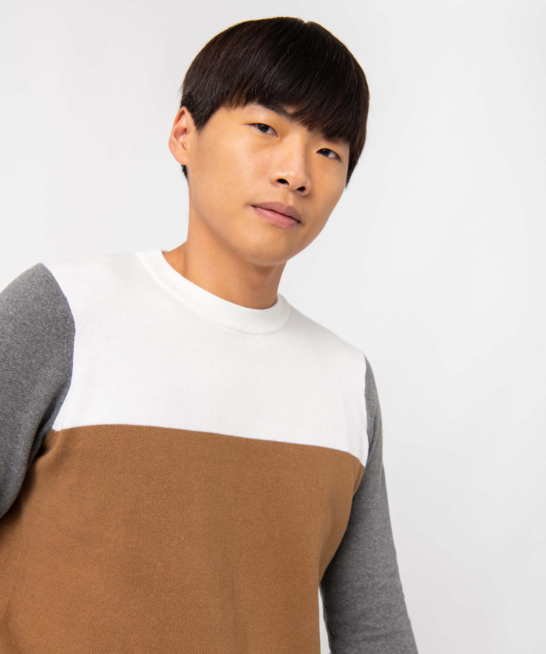 Pull homme tricolore en coton beige fonce | GEMO