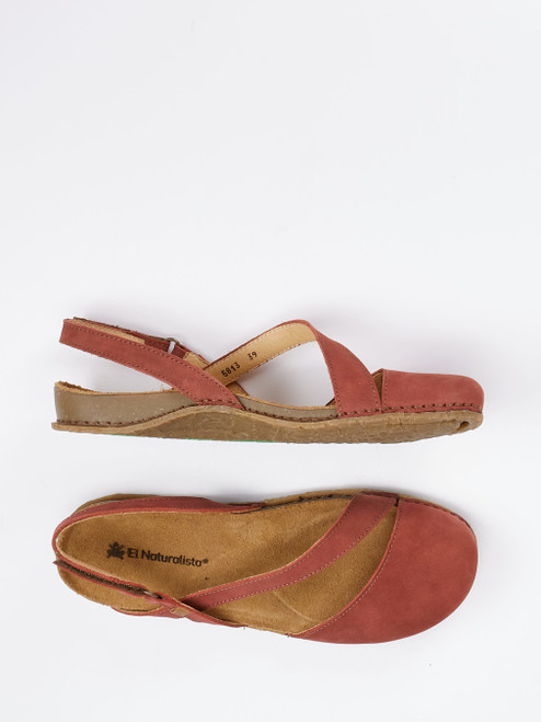 Slipper-13112590001 El Naturalista