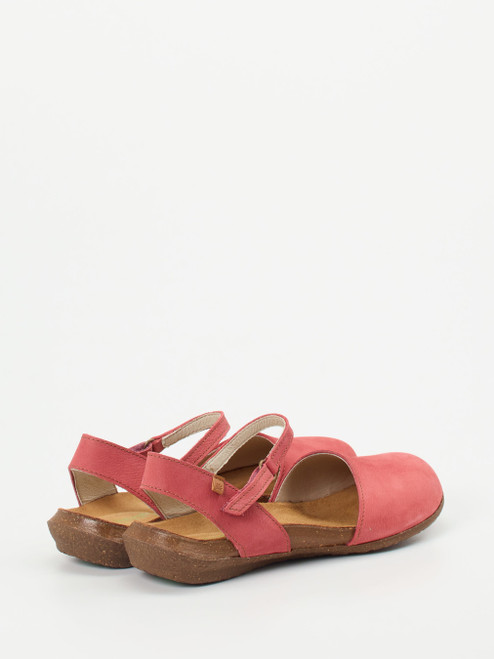 Slipper-13115390001 El Naturalista